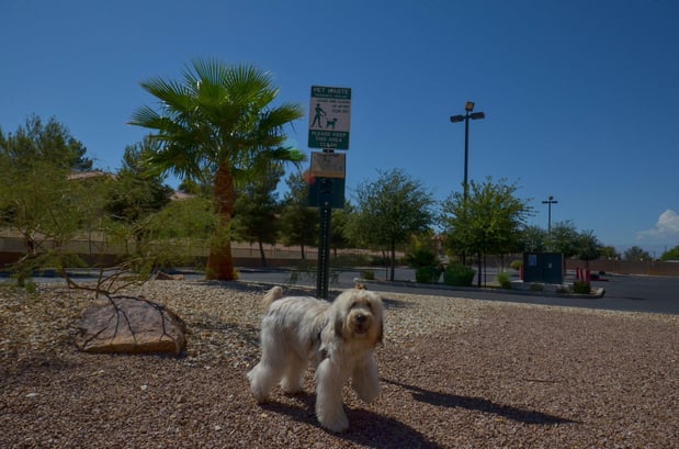 Images Holiday Inn Express Las Vegas-Nellis by IHG