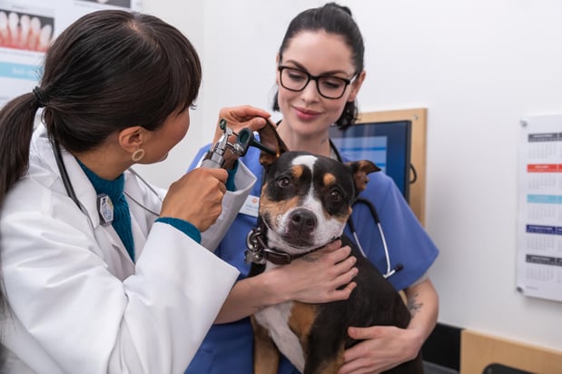 Images Banfield Pet Hospital