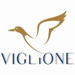 Azienda Vinicola Viglione Antonio Logo