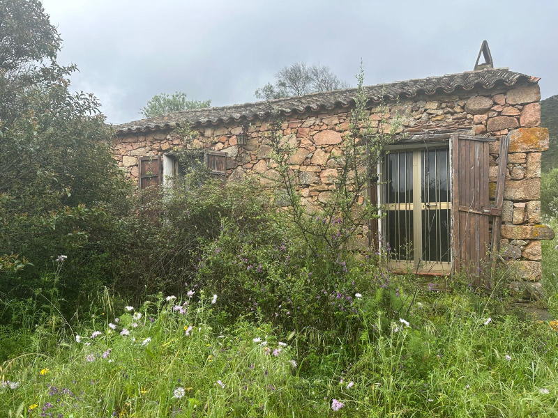 Images Immobiliare Smeralda Costruzioni