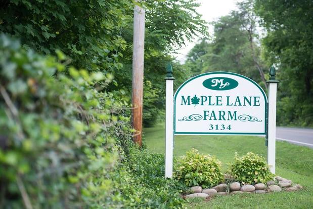 Images Maple Lane Farm