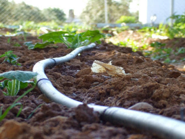 Images L'Impresa Reggiana di Giardinaggio