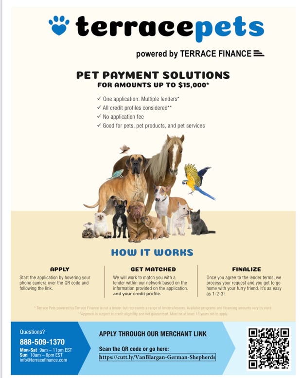 Images VanBlargan German Shepherds