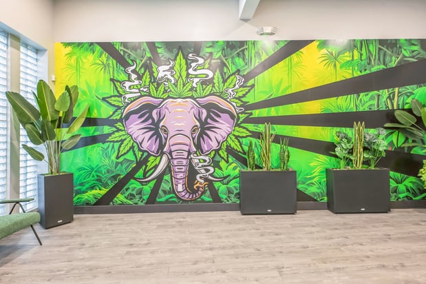 Images La Vida Gardens Dispensary Belleville NJ