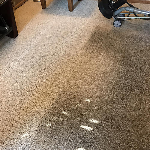 Carpet cleaning specials Sioux Falls SD