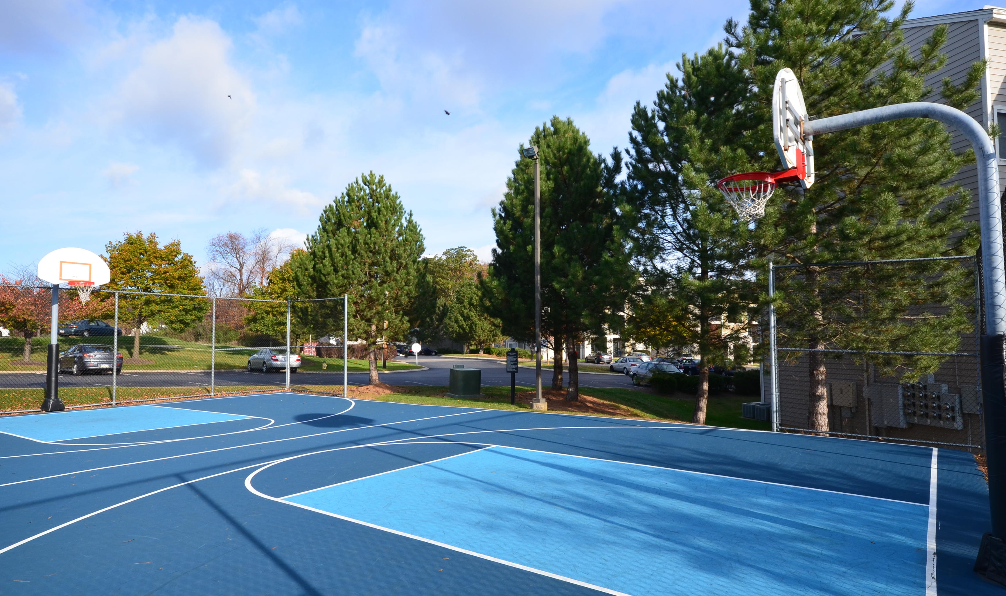 Basketball court