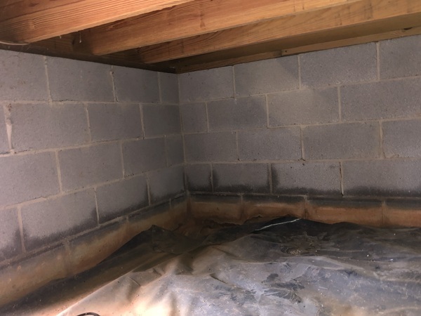 Images Ox Foundation Solutions