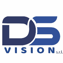 Ds Vision Logo