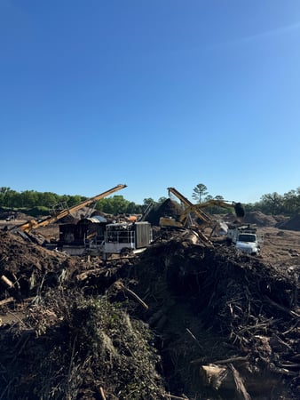Images Magana Tree Service