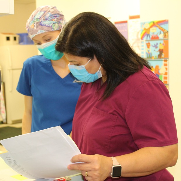 Images The Fun Children's Dentist