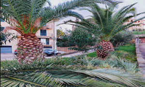 Images La Splendente S.r.l.s