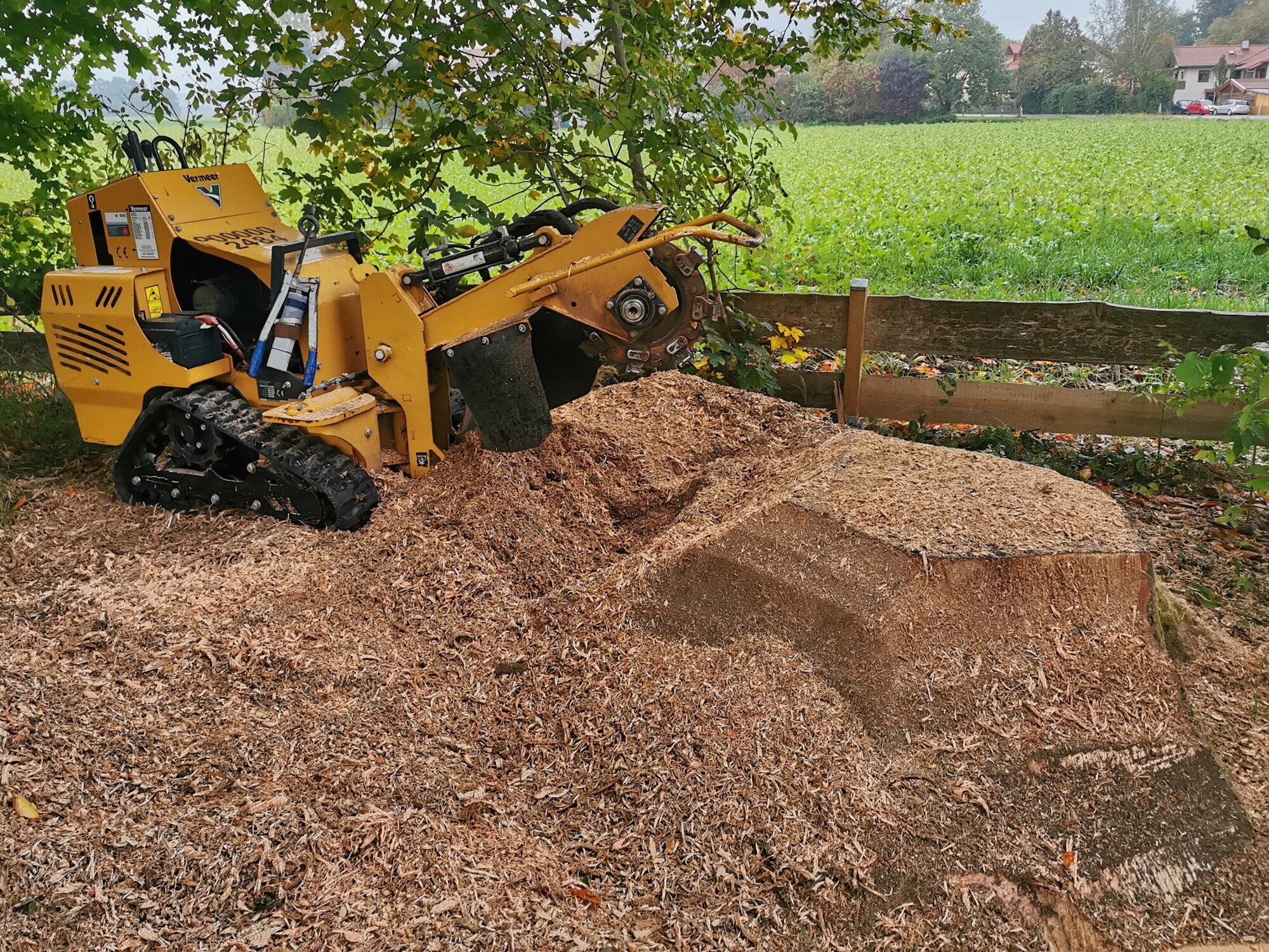 Baumstumpffräsen Tobias Baier, Mangfallstraße 16B in Bad Aibling