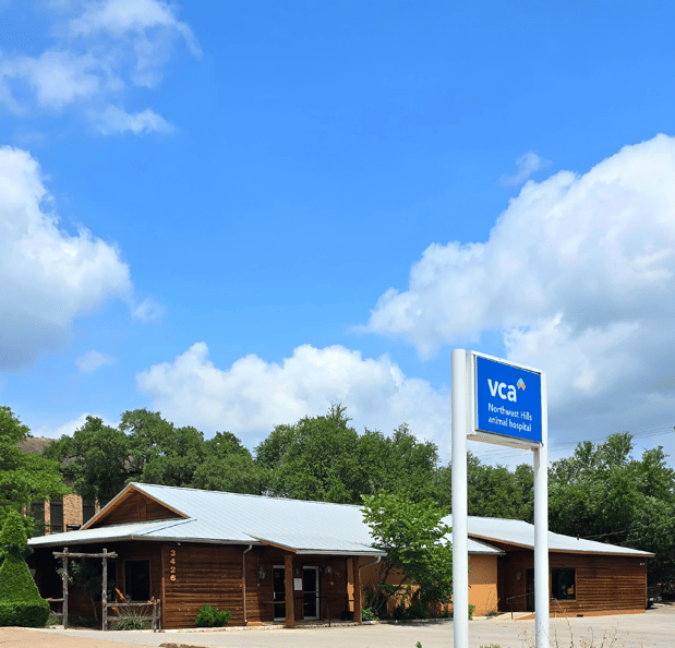 Images VCA Northwest Hills Animal Hospital