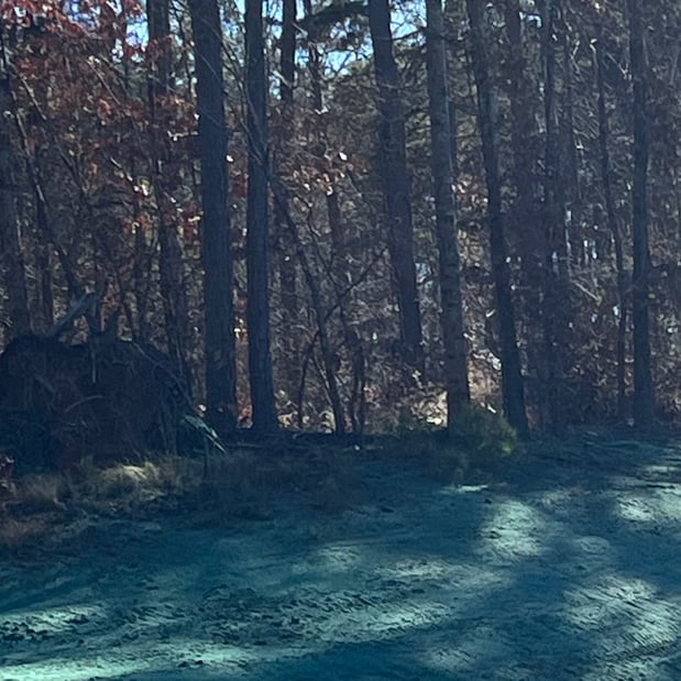 Images Hydroseeding by Orion Inc