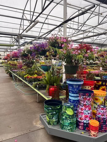 Images Grant Line Garden Center & Nursery
