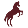 Australian Equine Institute Logo