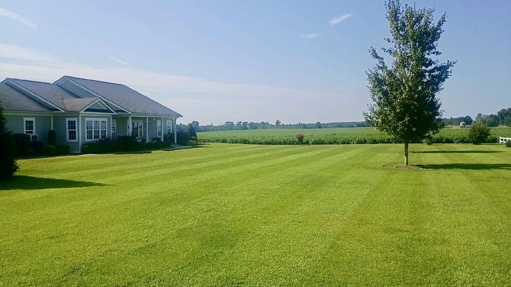 Rollin's Landscape Co., Inc