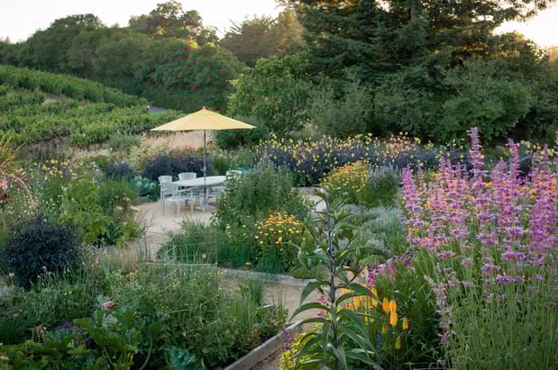 Images Lynmar Estate Winery