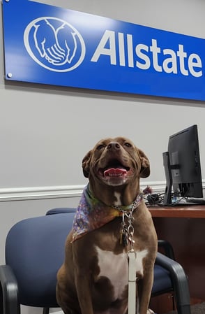 Images Milton-Scalise Agency: Allstate Insurance