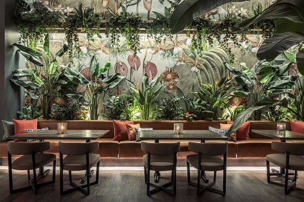 Images THesis Hotel Miami Coral Gables, Curio Collection by Hilton