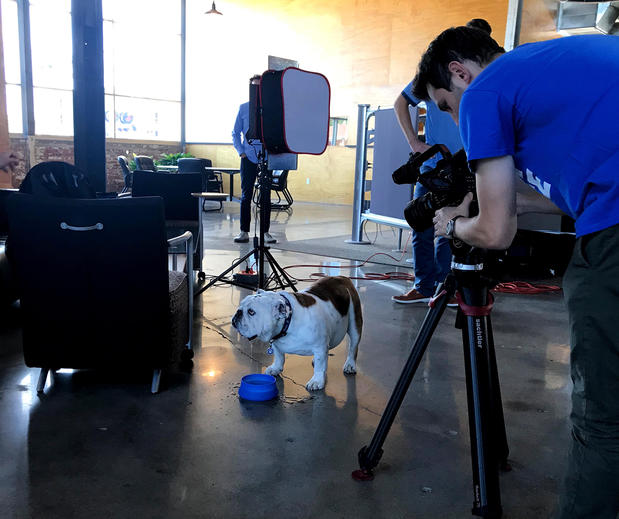 Images Two Rivers Marketing