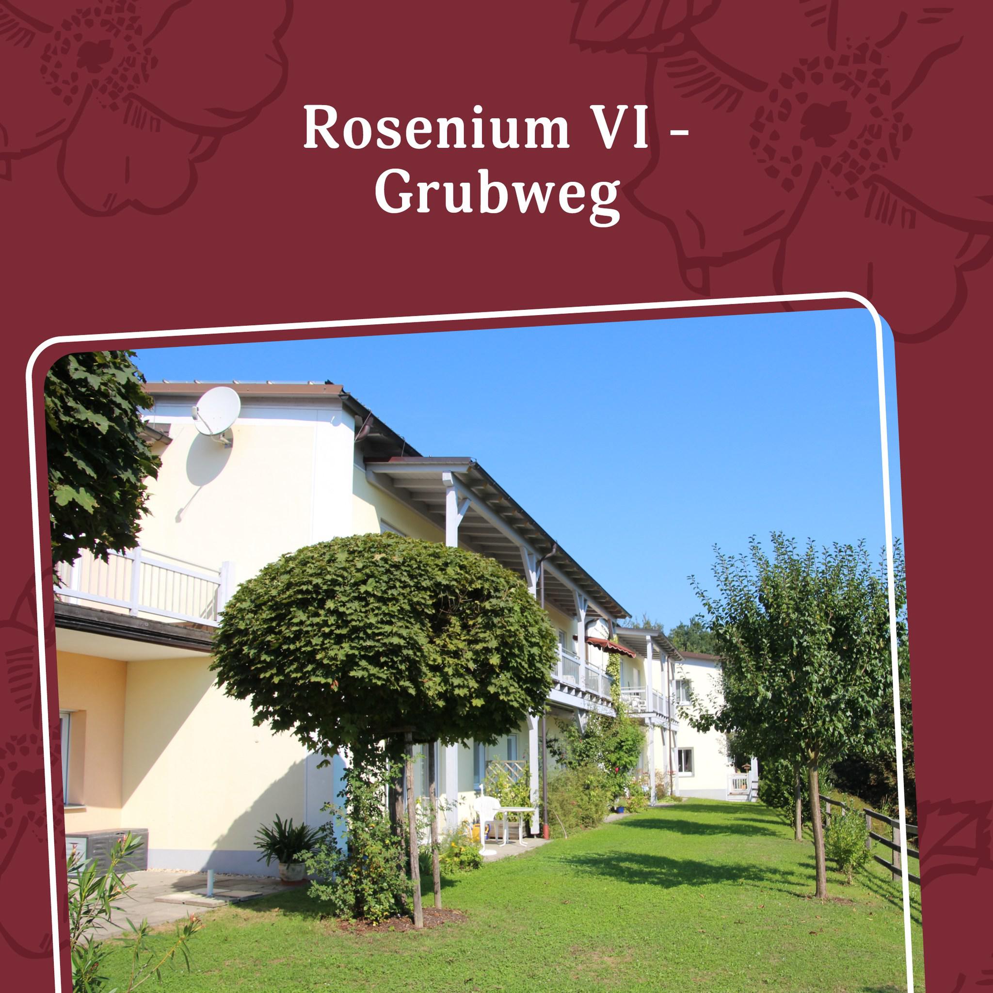 Bild 1 Rosenium Grubweg in Passau