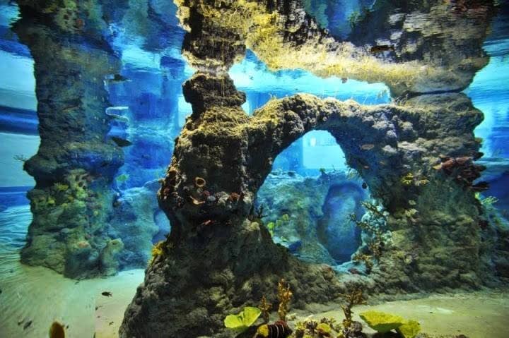 Images Tematic World S.L