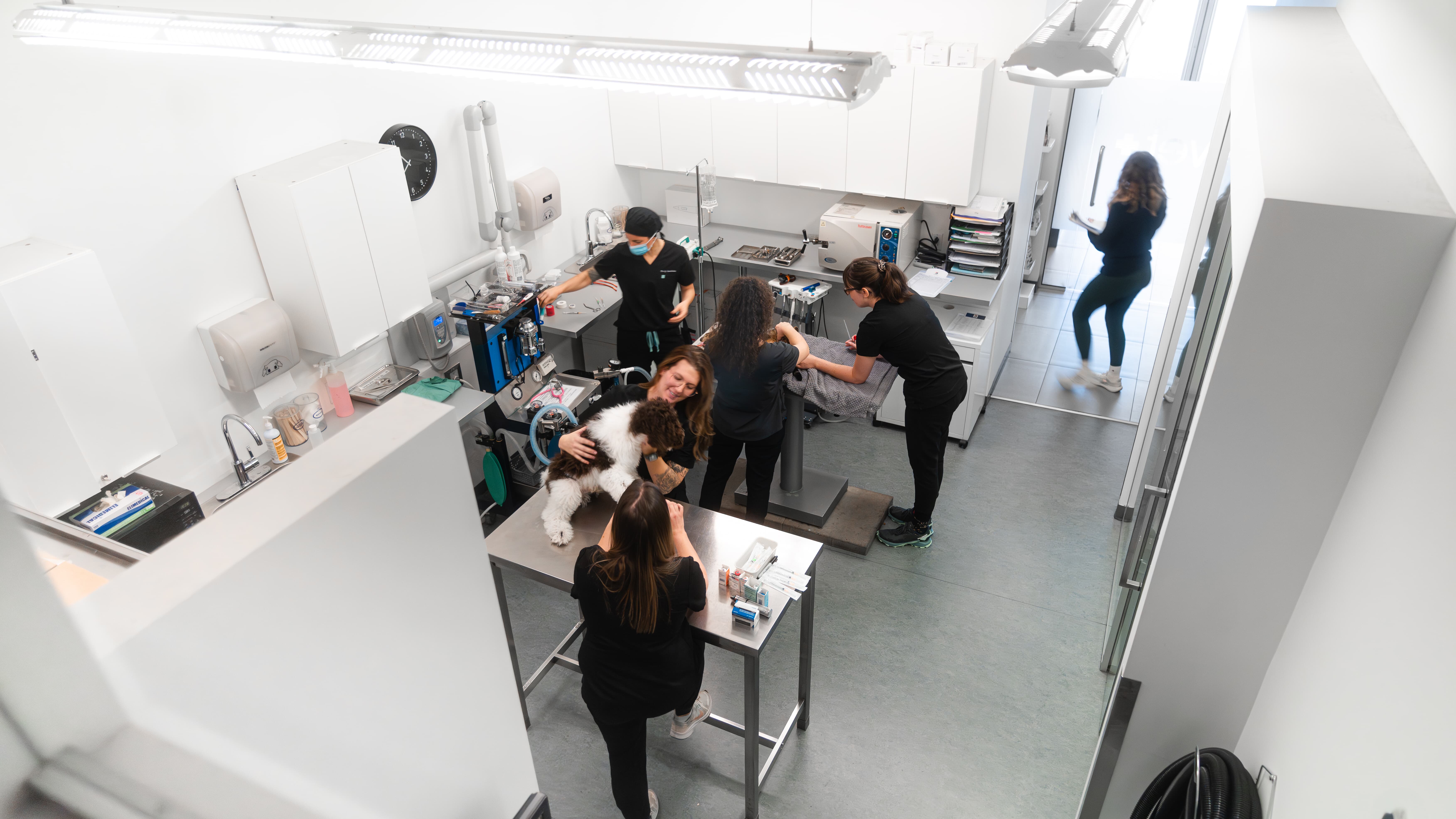 Images Clinique Vétérinaire Quartier Dix30