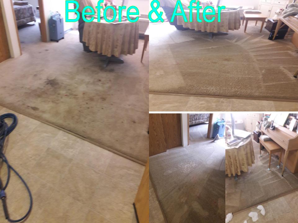 Able Body Carpet & Restoration Photo