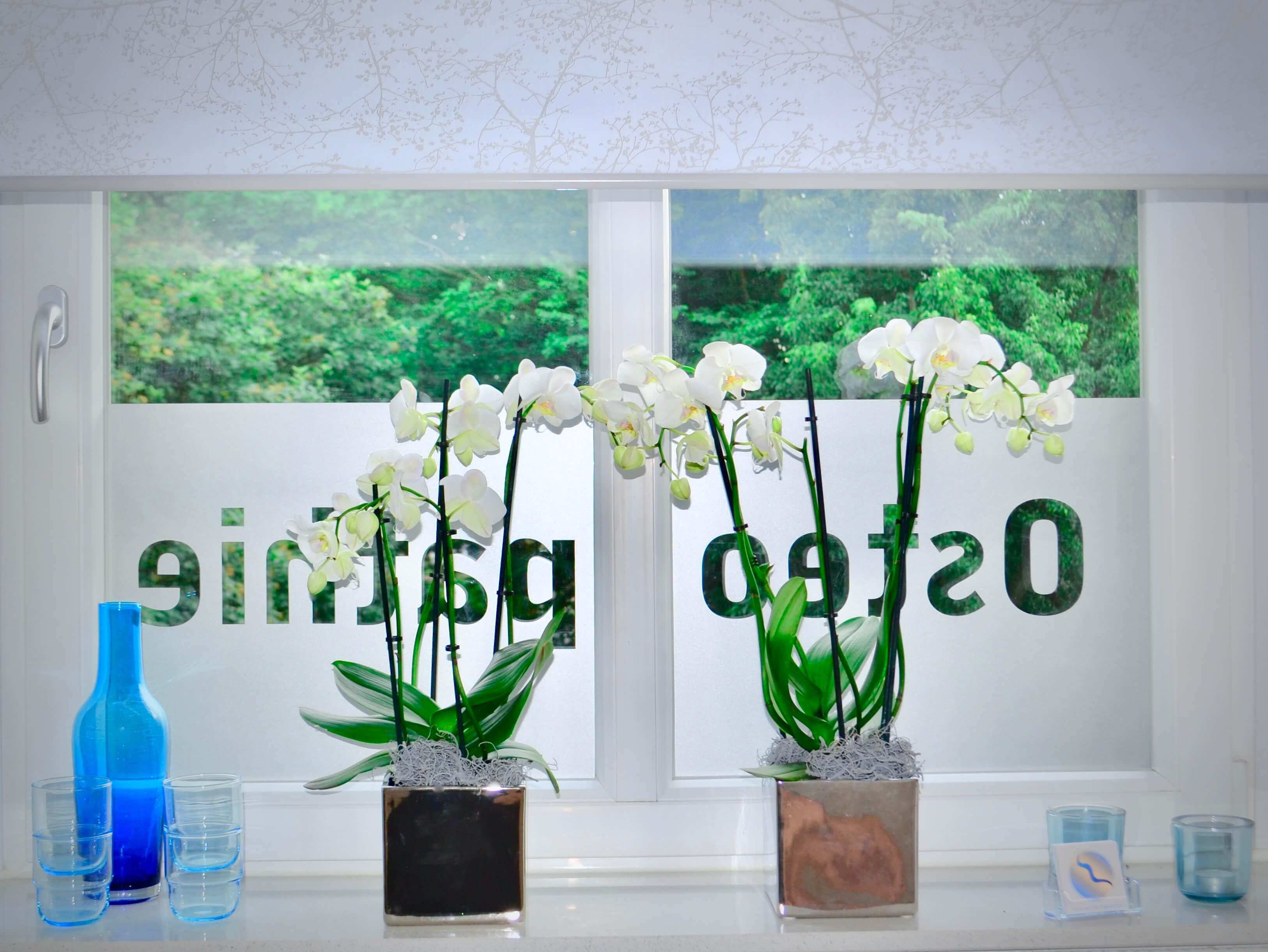 Fachpraxis für Osteopathie und Kinderosteopathie Birte Steigerwald, Schwachhauser Heerstraße 159 in Bremen