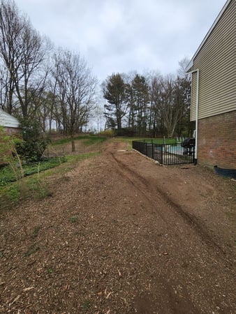 Images 4 Seasons Tree Service