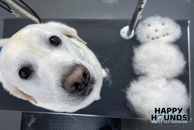Images Happy Hounds Mobile Pet Grooming