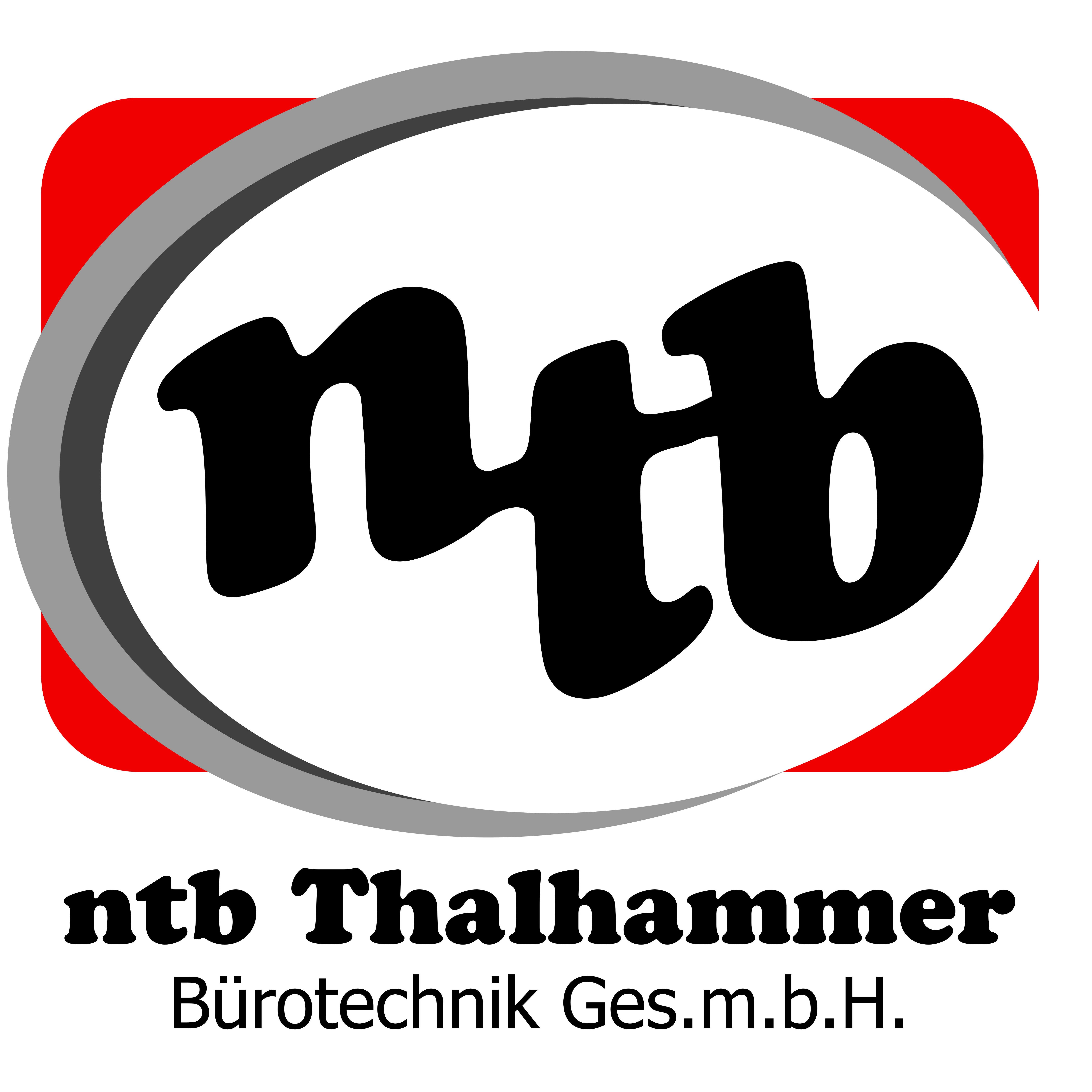 ntb Thalhammer Logo