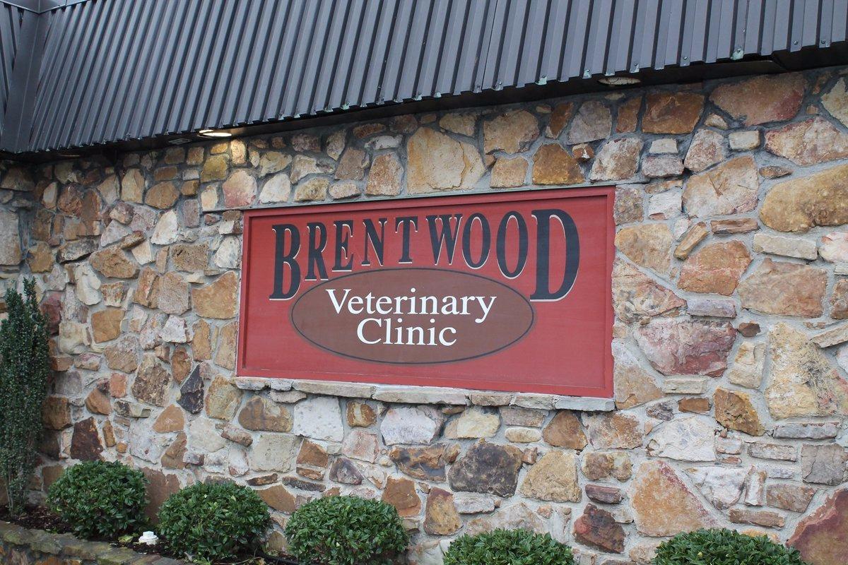 Brentwood Veterinary Clinic, Brentwood Tennessee (TN) - LocalDatabase.com