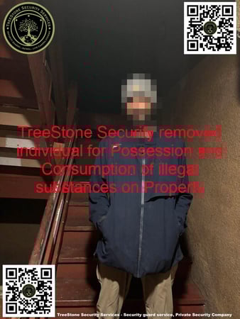 Images TreeStone Security Services