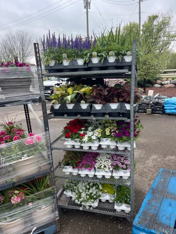 Images Ultimate Nursery Macomb