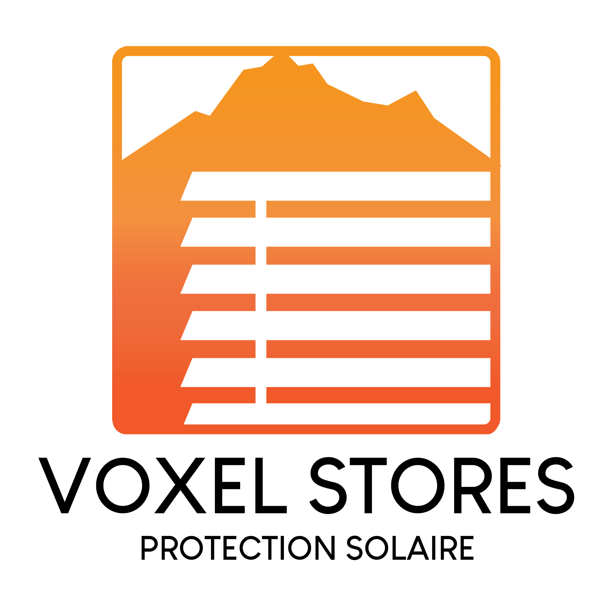 VOXEL STORES Sàrl Logo