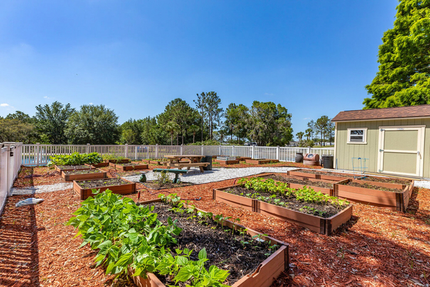 Images Thousand Trails Orlando