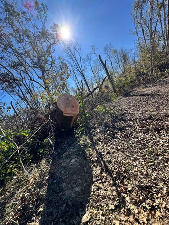 Images Southern Tradition Land Services