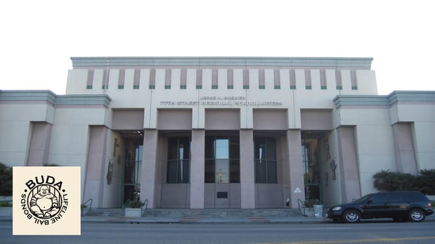 Images Buda Lifeline Bail Bonds, Inc.