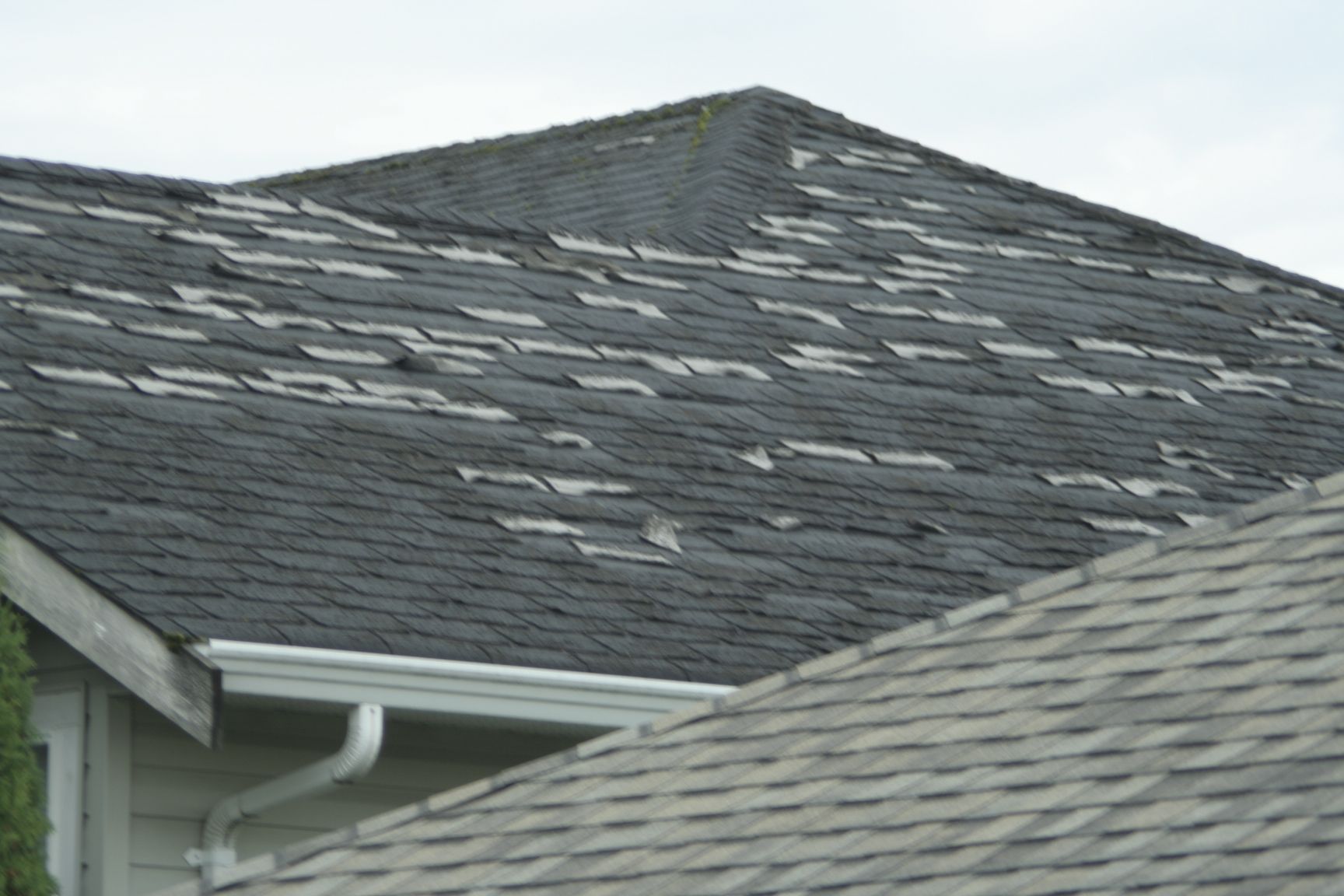Oceanview Roofing & Inspections Image