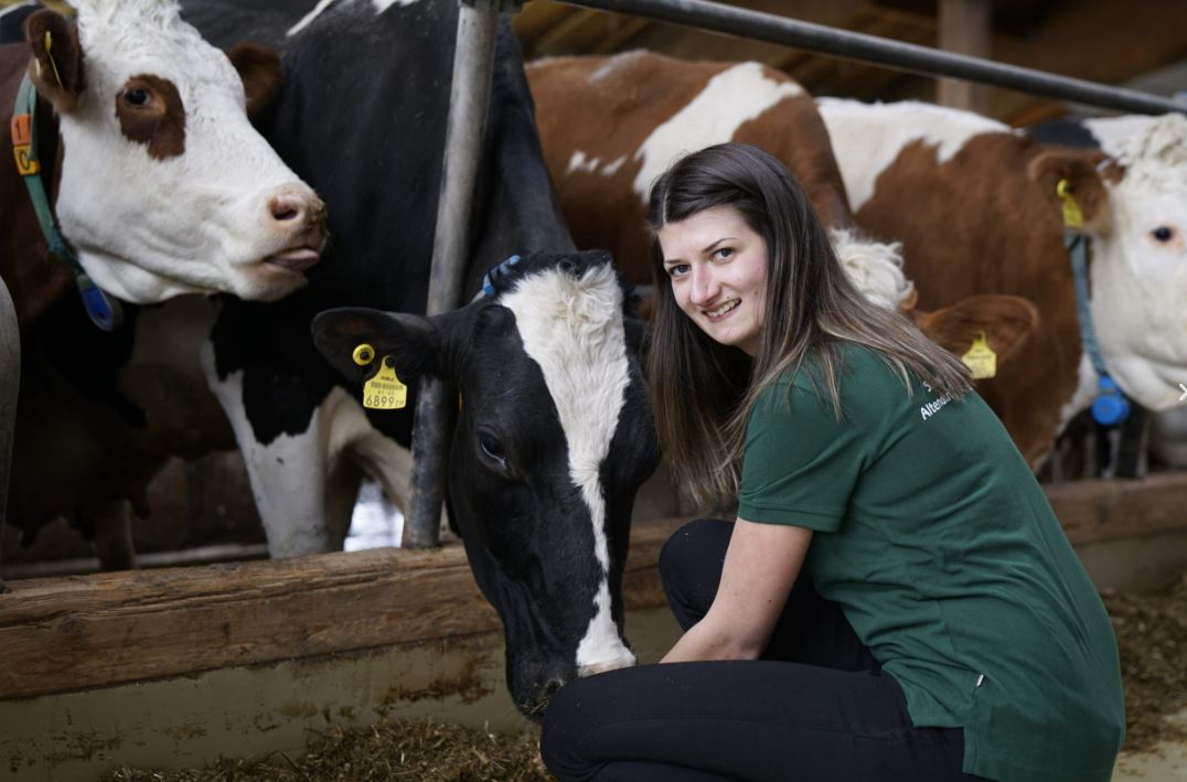 Sauwald Tierärzte GmbH, Altendorf 79 in Sankt Roman