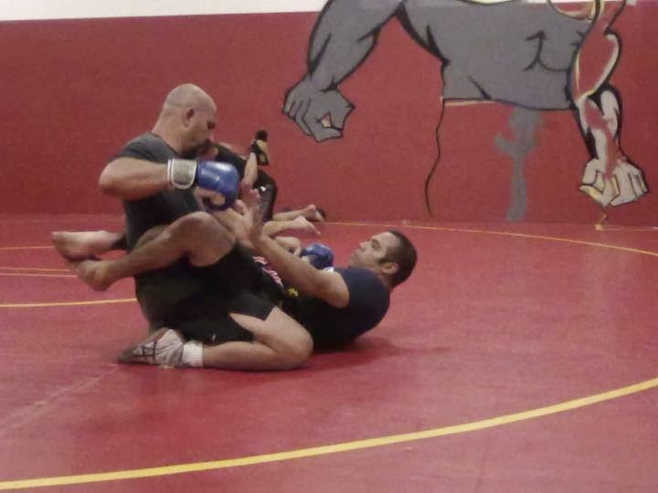 Images Aguirre's Fighting System