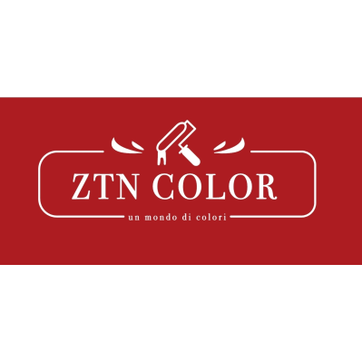Ztn Color Logo