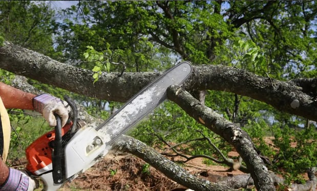 Images 5 Star Tree Service Inc.