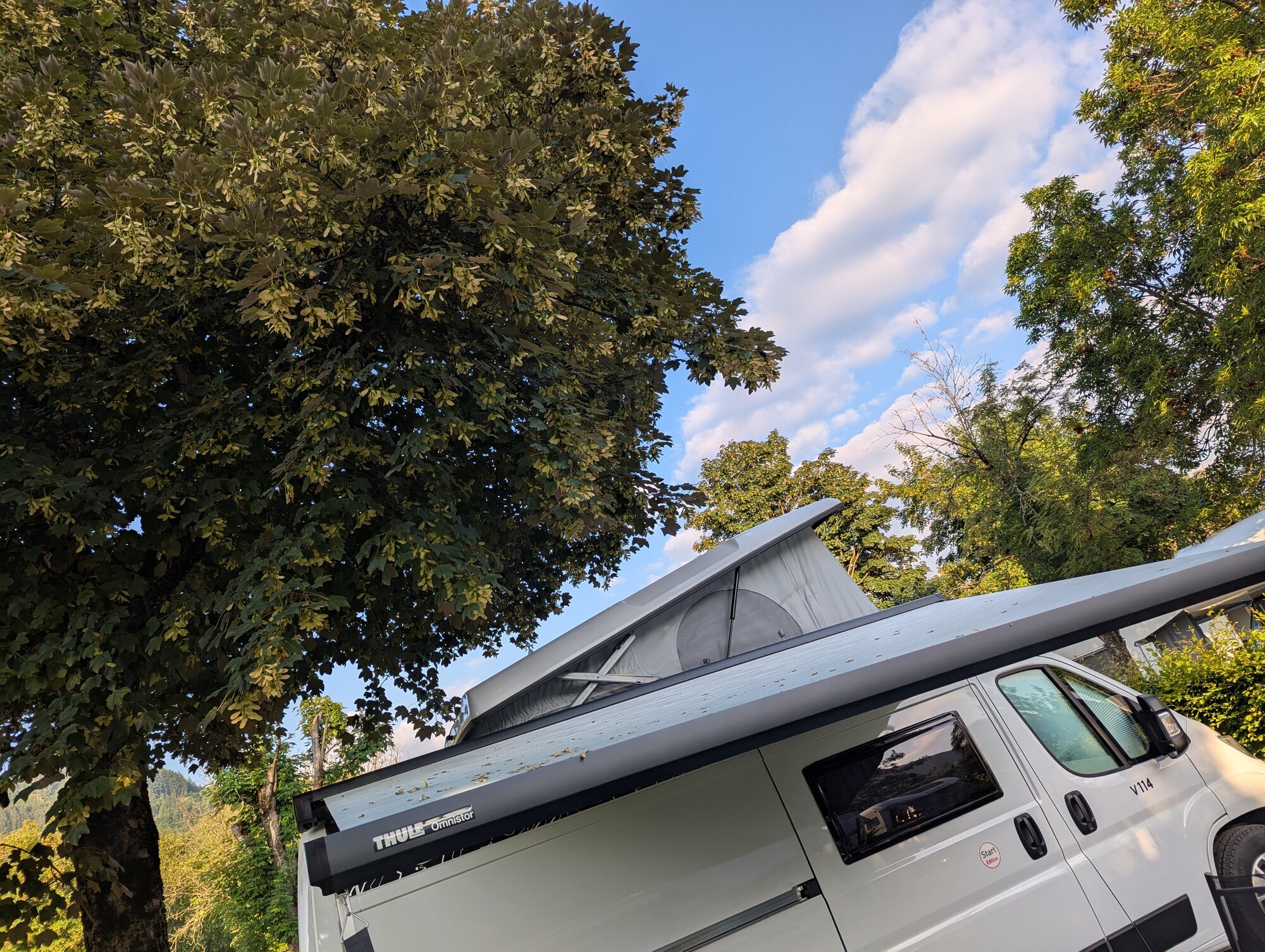 Panda Camper Sabrina Emeksiz, Peterswörther Straße 22 in Gundelfingen an der Donau