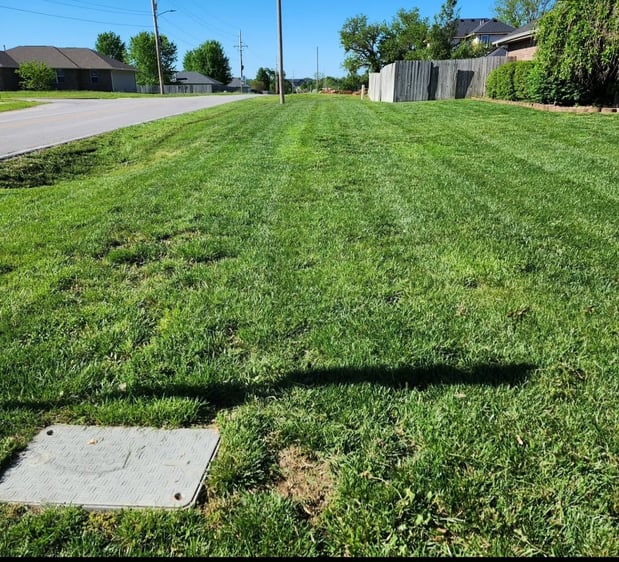 Images Cooks Lawn Care Service