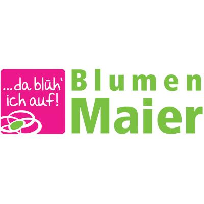 Maier Blumen in Wehr in Baden - Logo