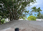 Images Aurora Arbor Care