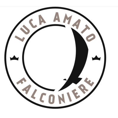 Luca Amato Falconiere Logo